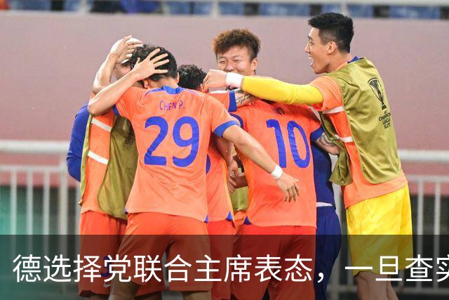 德选择党联合主席表态，一旦查实乌参与北溪管道爆炸，将面临后果